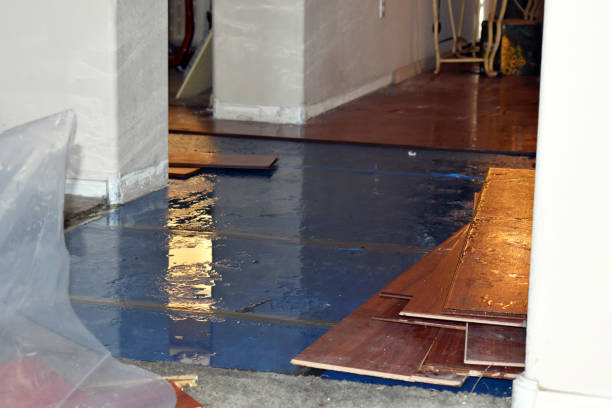 Professional Water Damage technician working in Rhode Island, RI